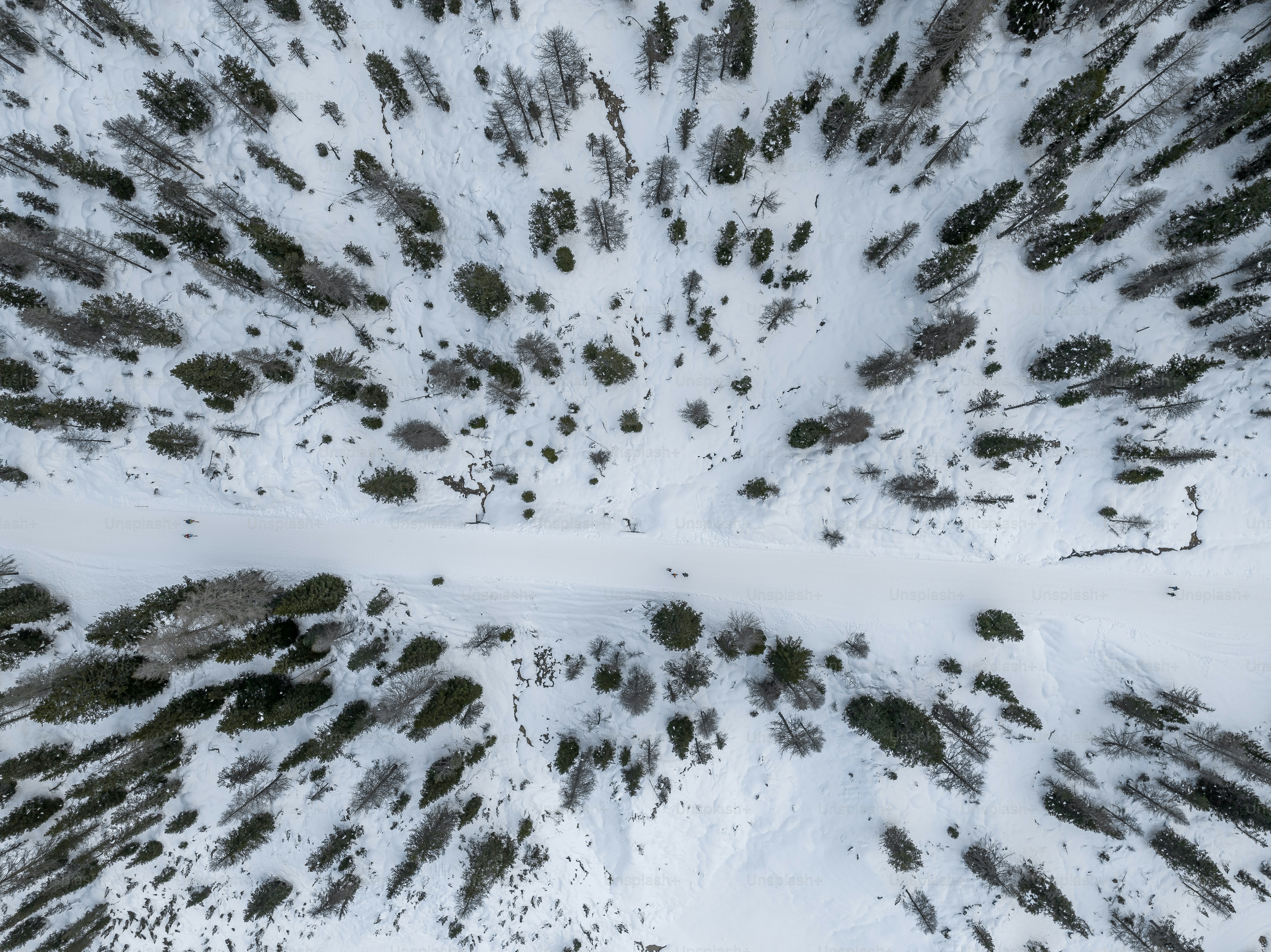 An aerial view of a snow covered forest photo – Forest Image on Unsplash