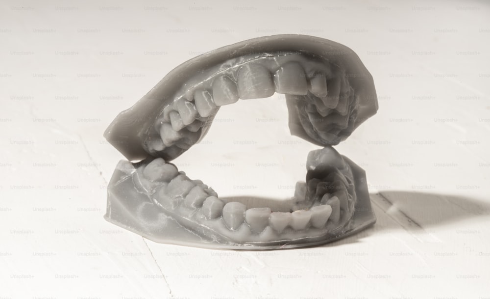 Un modelo de plástico de una boca con dientes