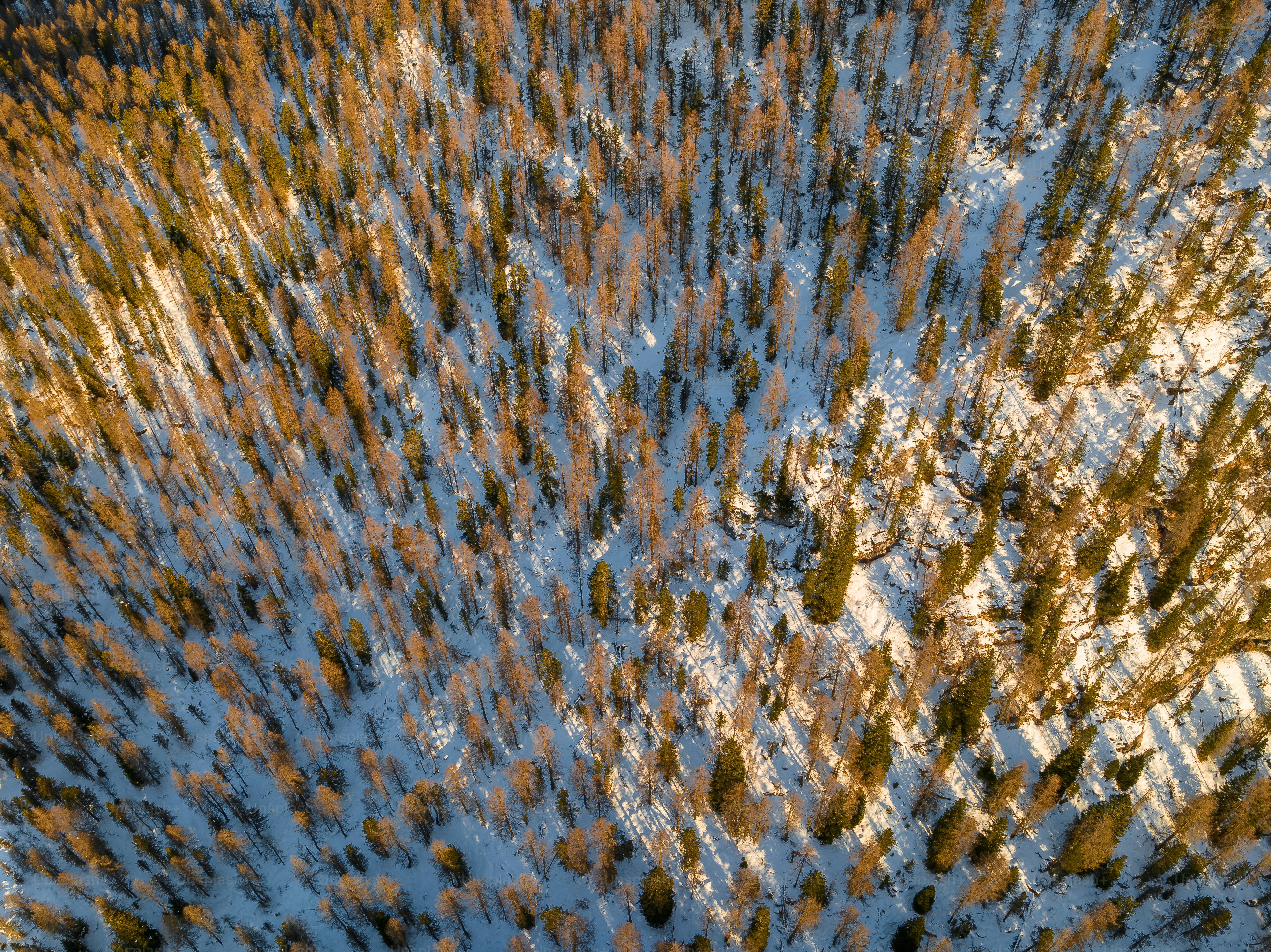An aerial view of a snow covered forest photo – Winter Image on Unsplash