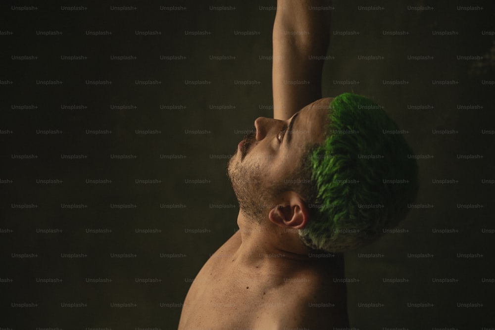 Un hombre sin camisa con cabello verde en la cabeza