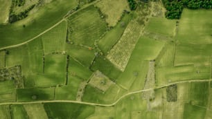 an aerial view of a green field with trees