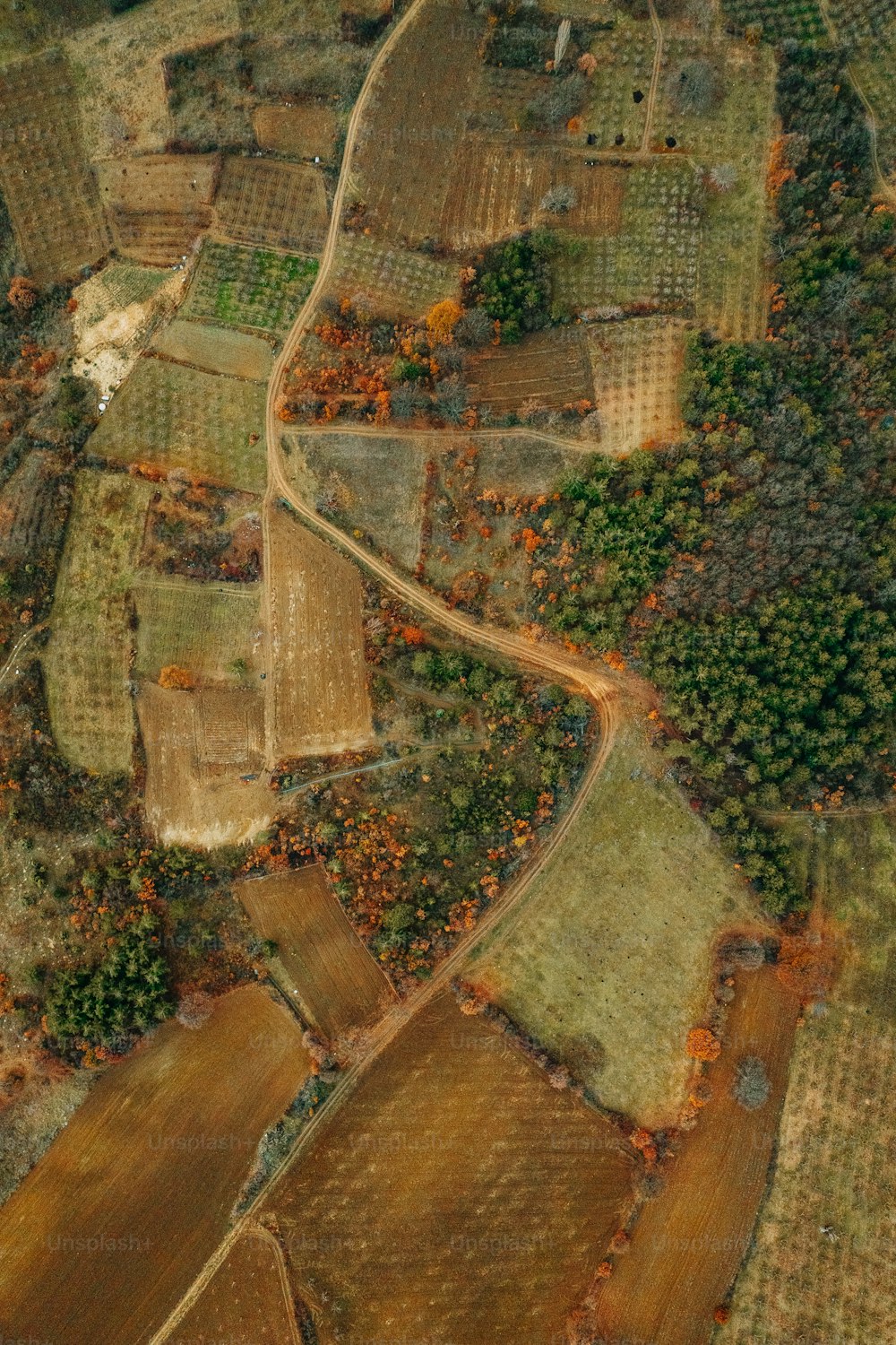 uma vista aérea de uma área rural com muitas árvores