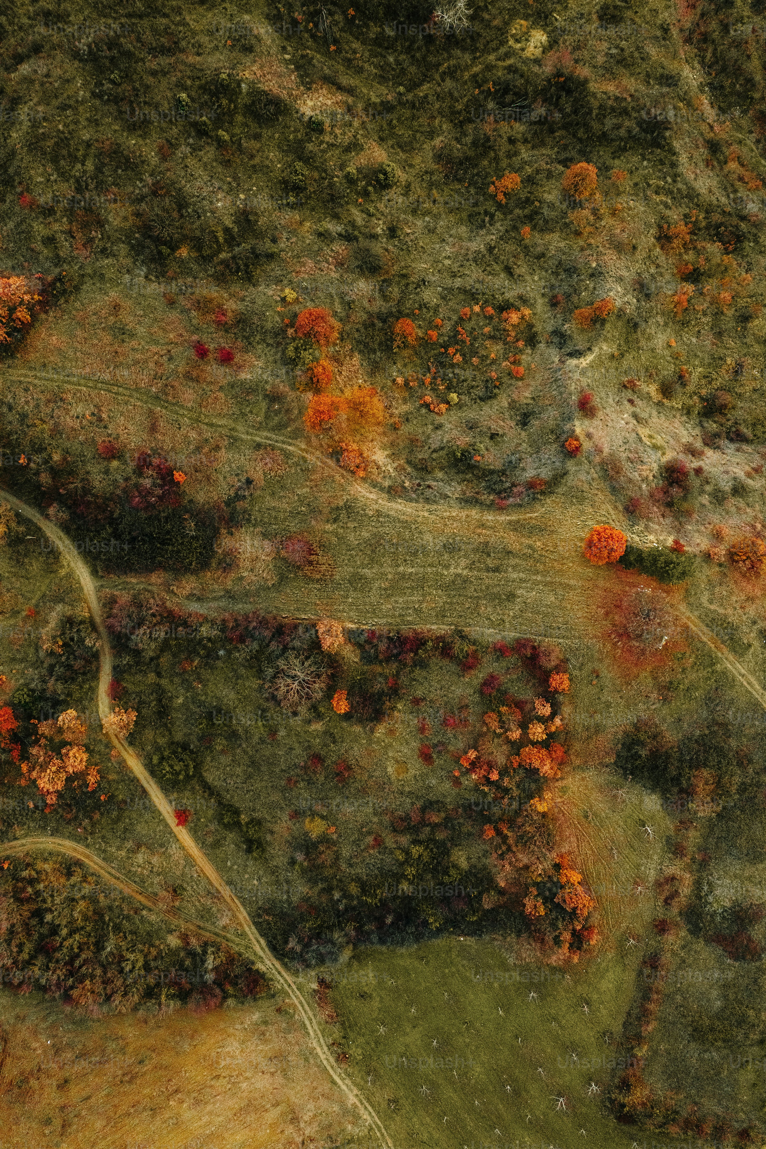 an aerial view of a grassy area with trees