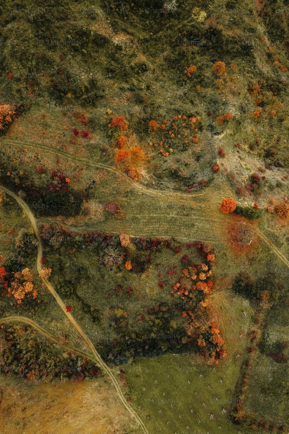 uma vista aérea de uma área gramada com árvores