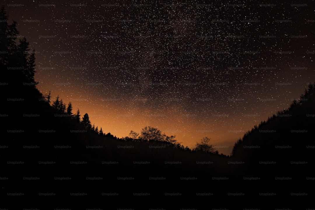 the night sky is filled with stars and trees