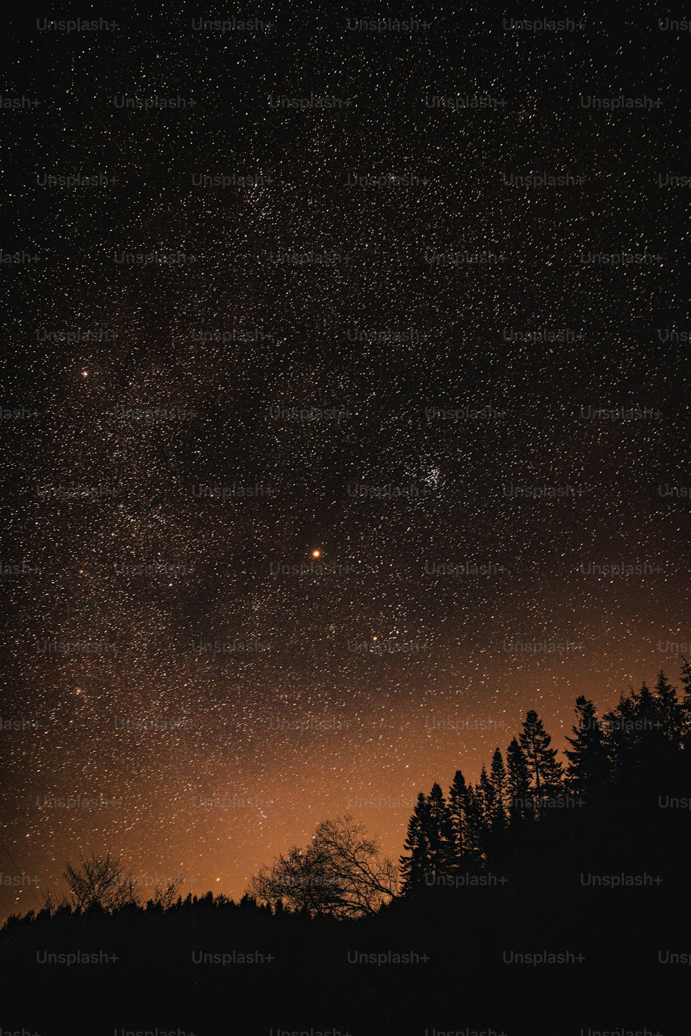 the night sky with stars and trees in the foreground