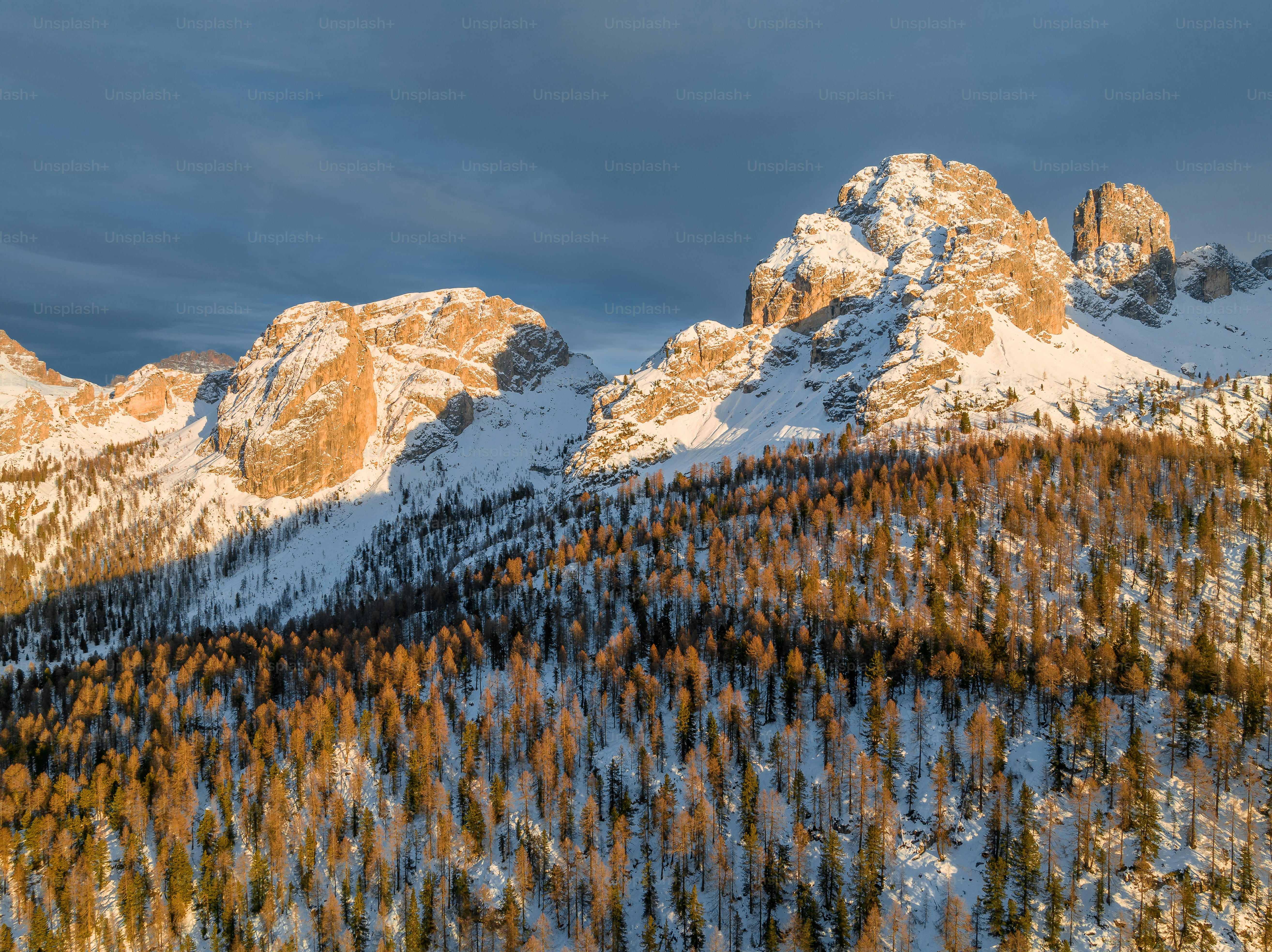 A snow covered mountain range with trees in the foreground photo ...