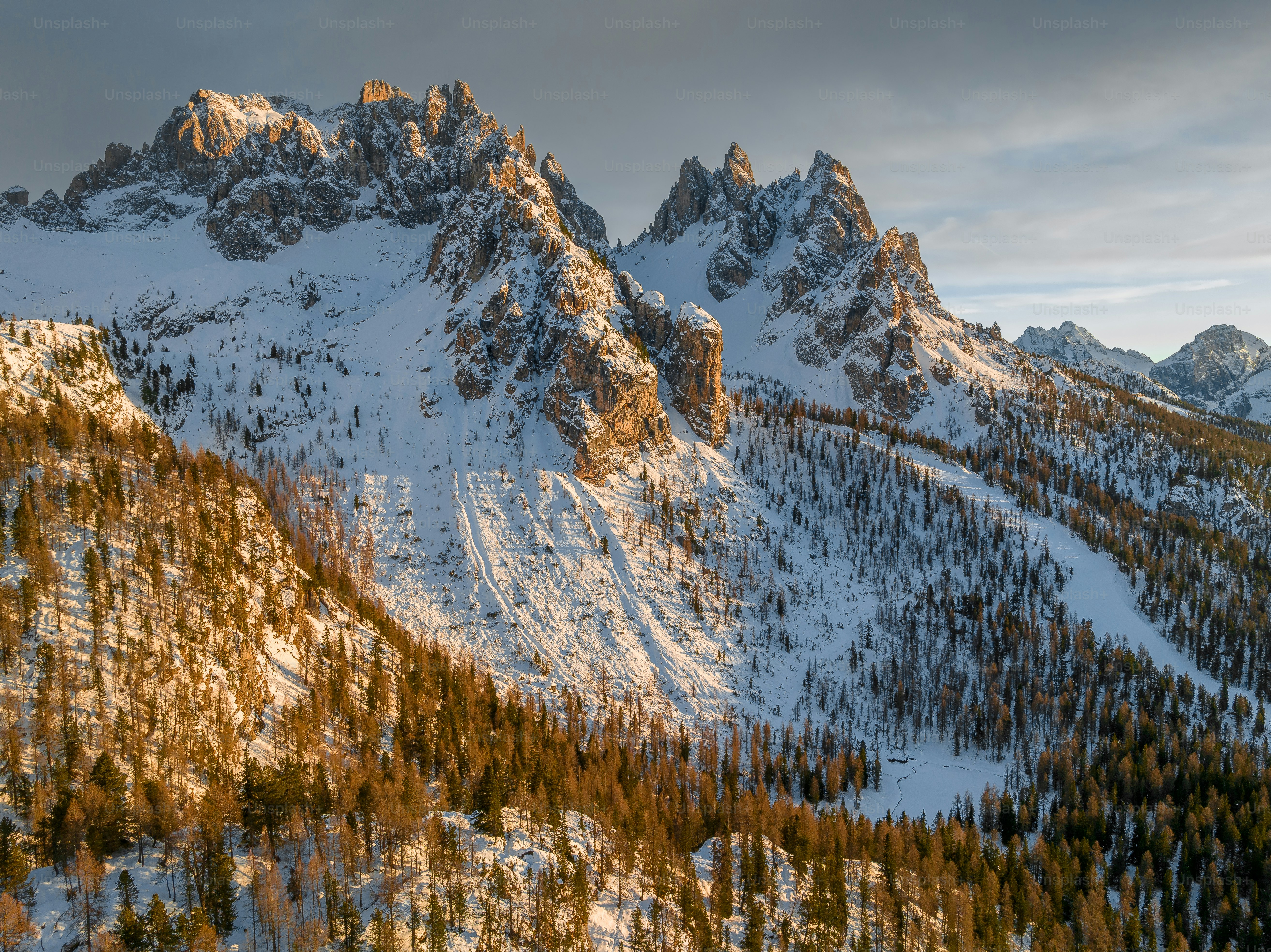 An aerial view of a snow covered forest photo – Forest Image on Unsplash
