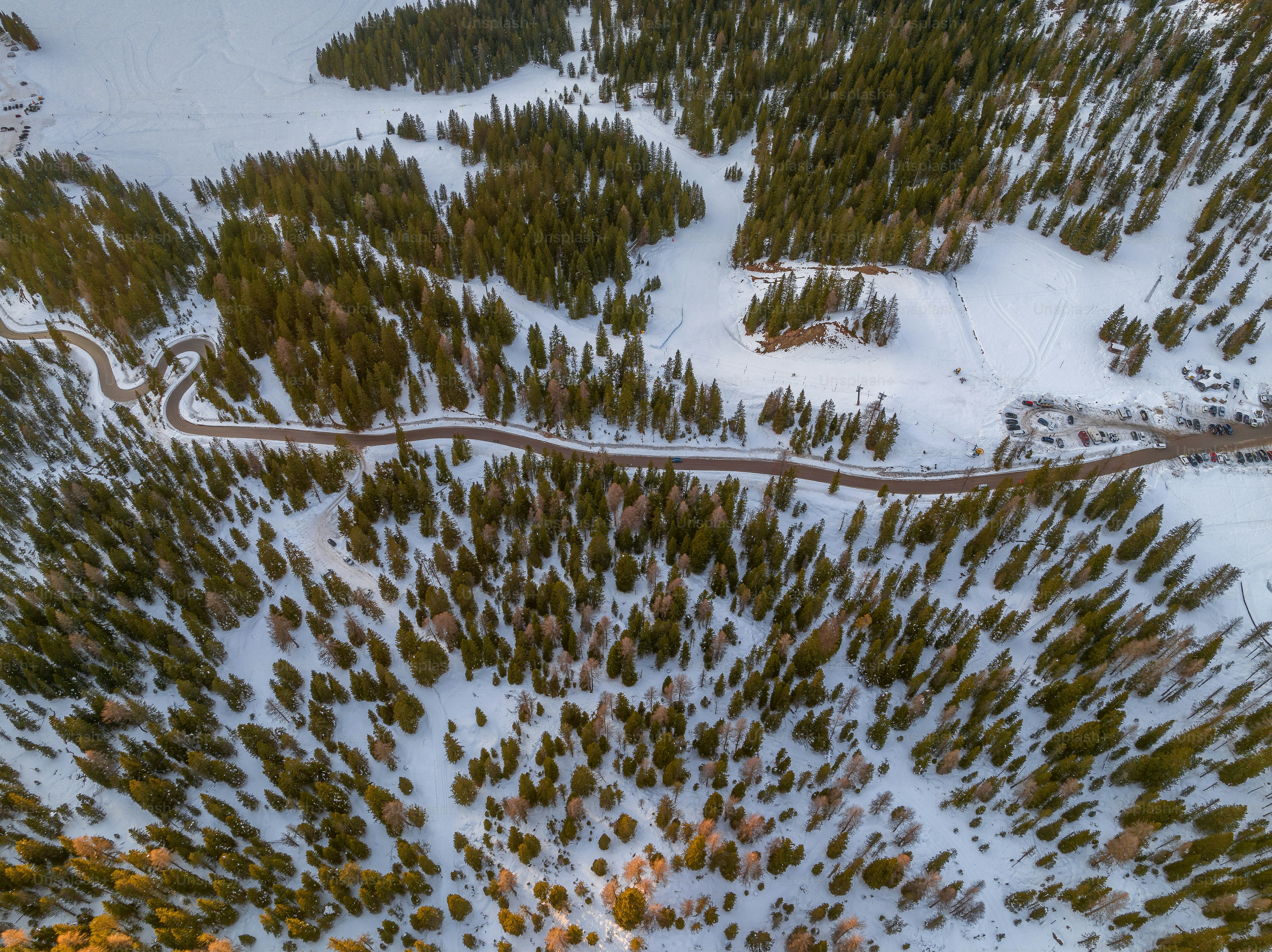 A snow covered mountain with trees in the foreground photo – Forest ...