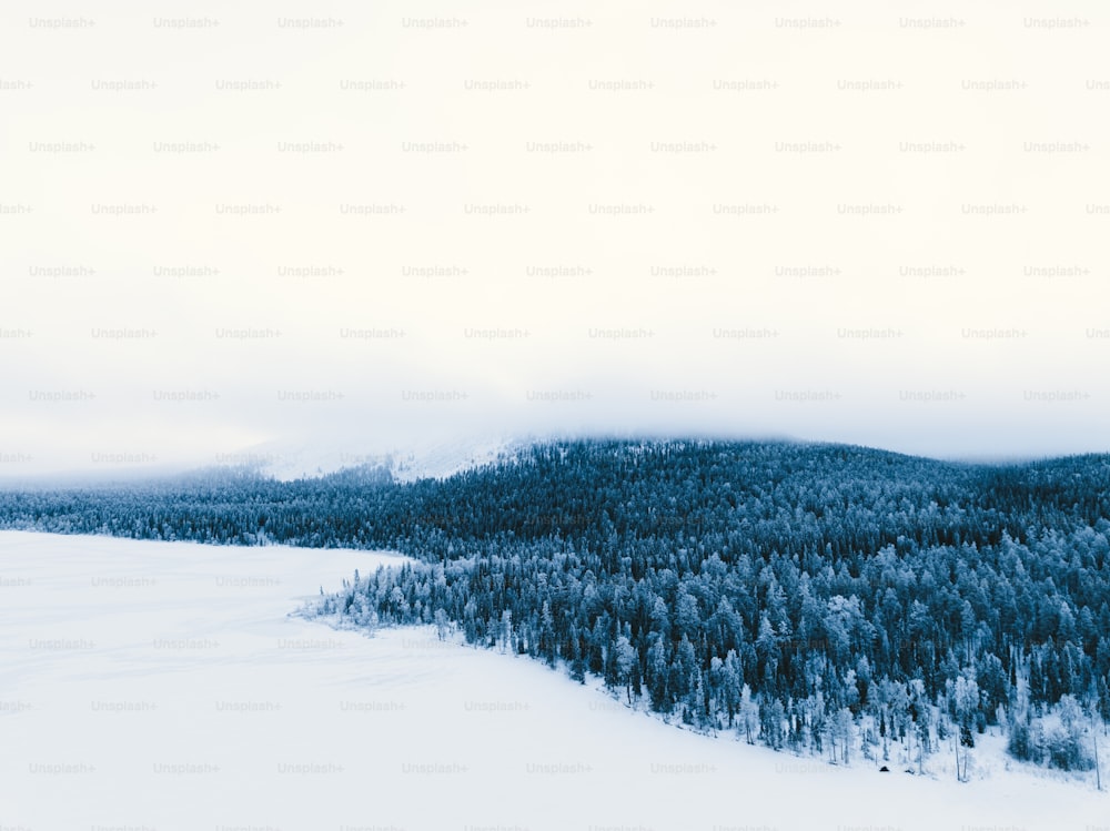 um campo coberto de neve com uma floresta no fundo