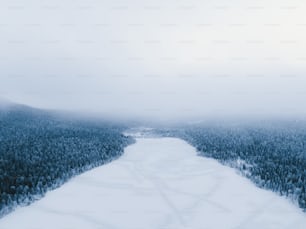 a snowy landscape with trees and a river