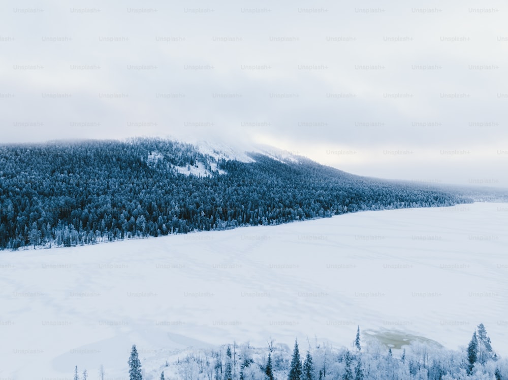 Eine verschneite Landschaft mit einem Berg im Hintergrund