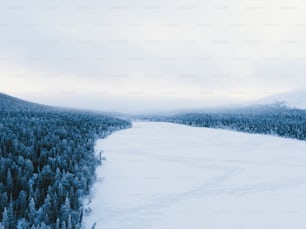 um grande corpo de água cercado por árvores cobertas de neve