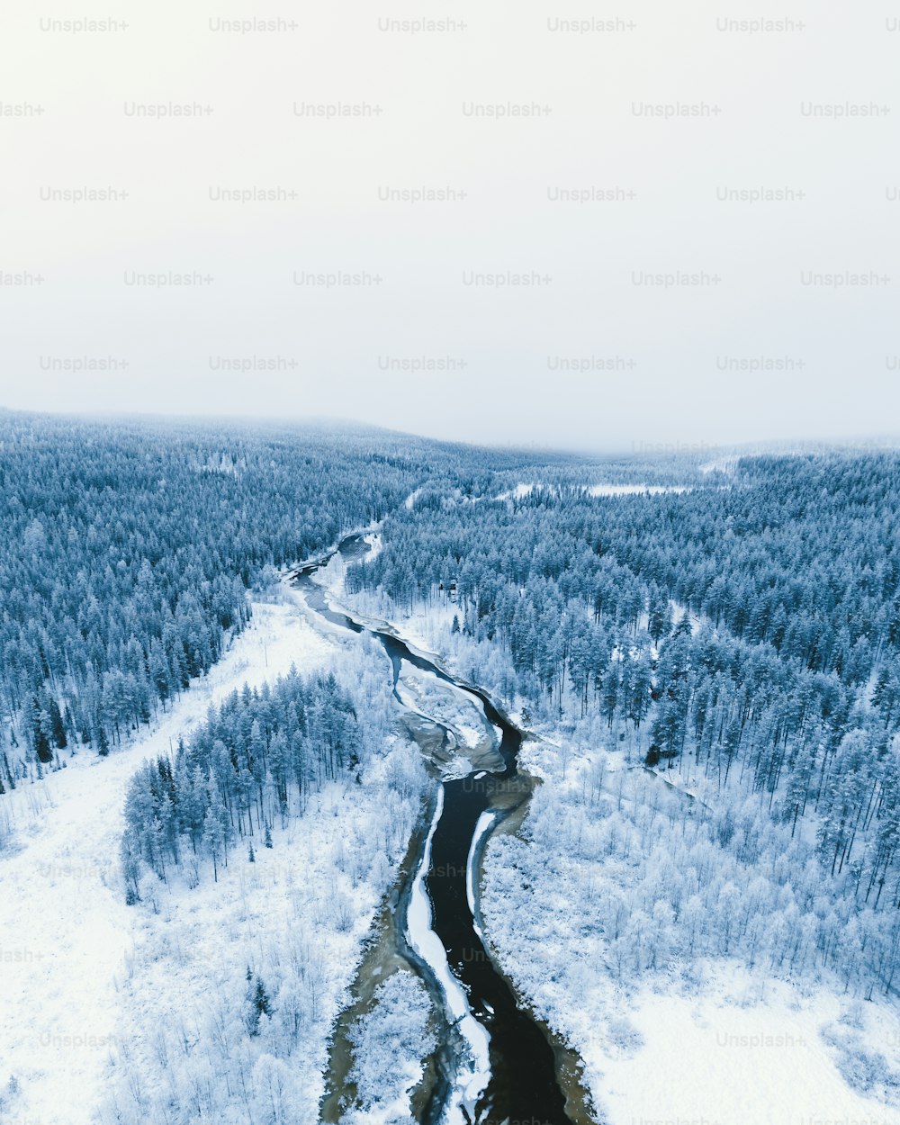 an aerial view of a snow covered forest