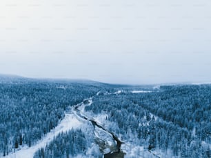 uma estrada no meio de uma floresta coberta de neve