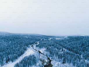 a road in the middle of a snow covered forest