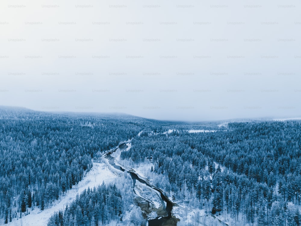 雪に覆われた森の真ん中��にある道