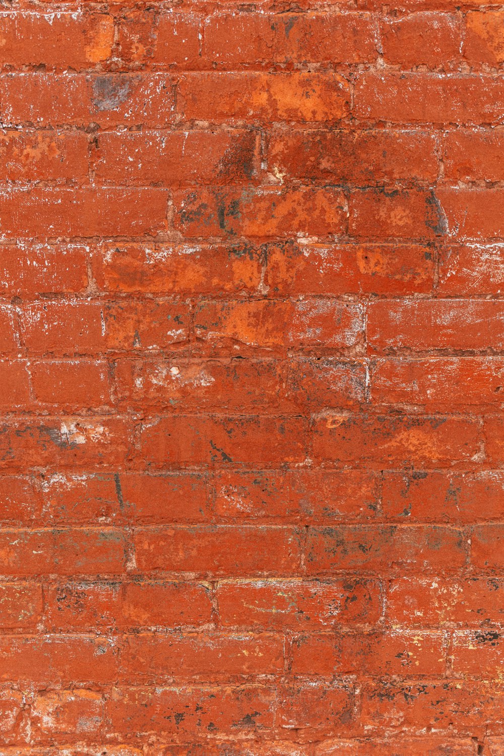 a red brick wall with a black cat sitting on top of it