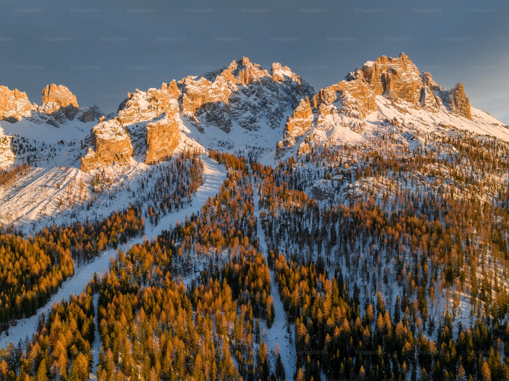 a snow covered mountain with trees in the foreground