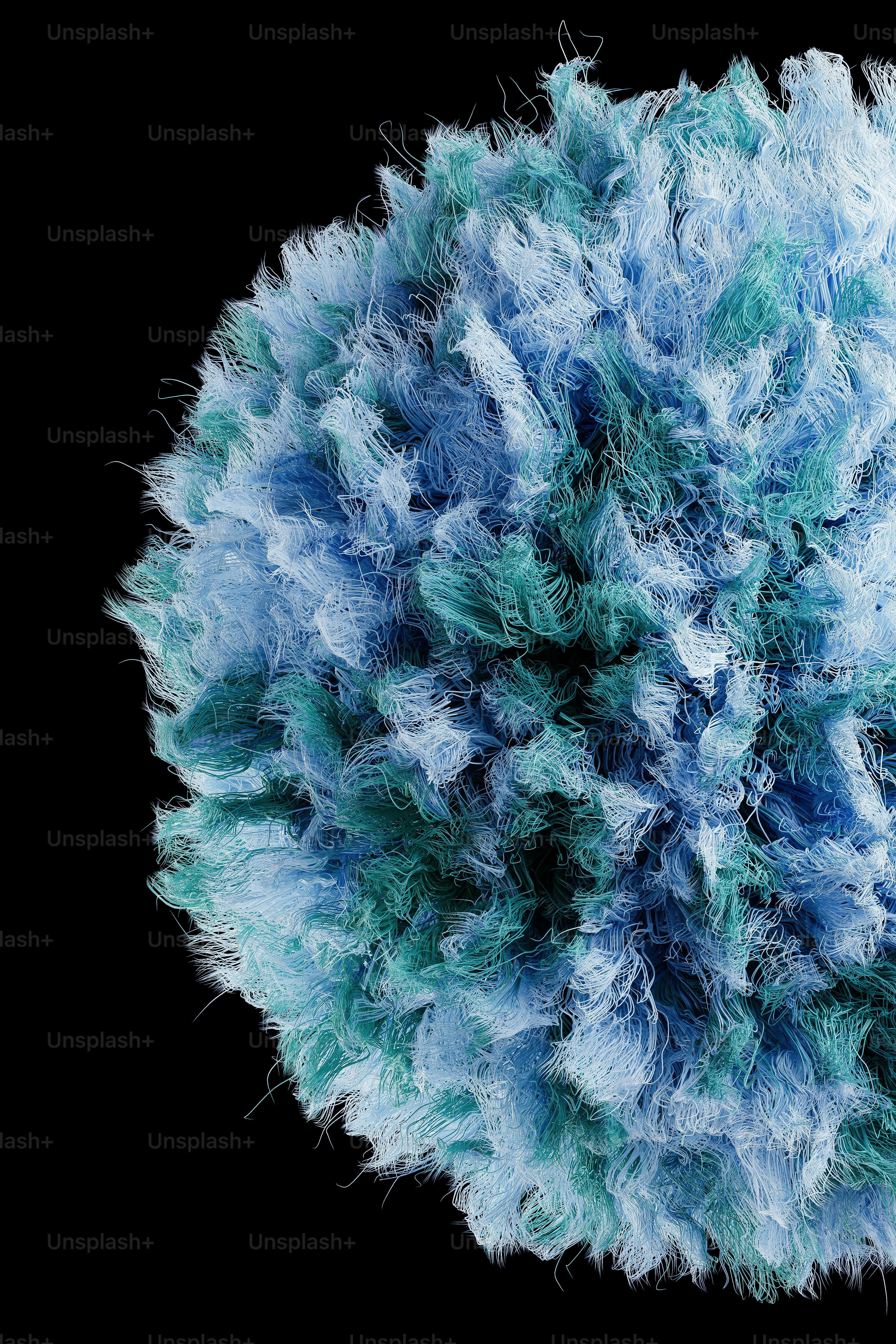A close up of a blue and green flower photo – Background Image on Unsplash