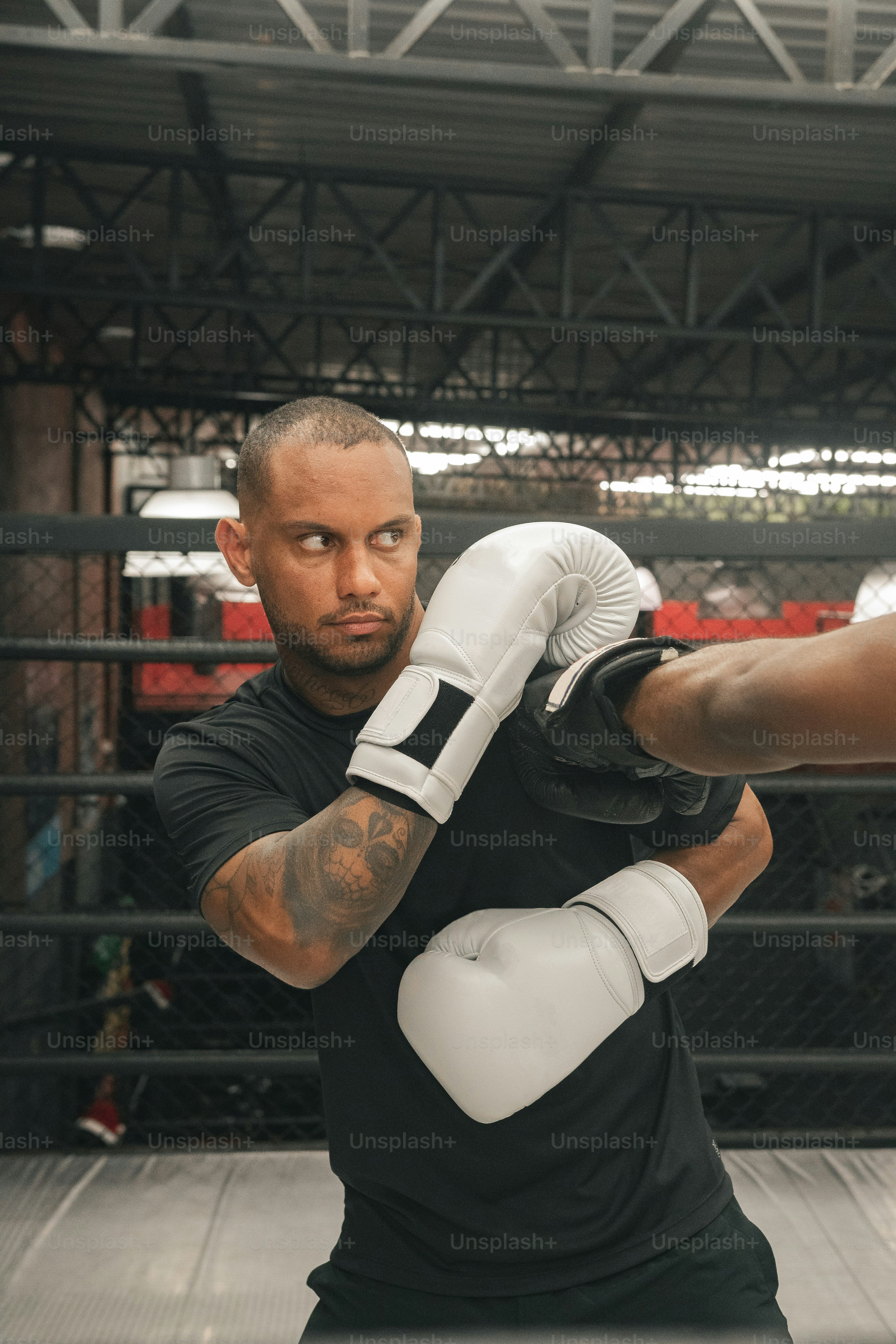 Inside the Training Regimen of an Olympic Champion Top Headline World