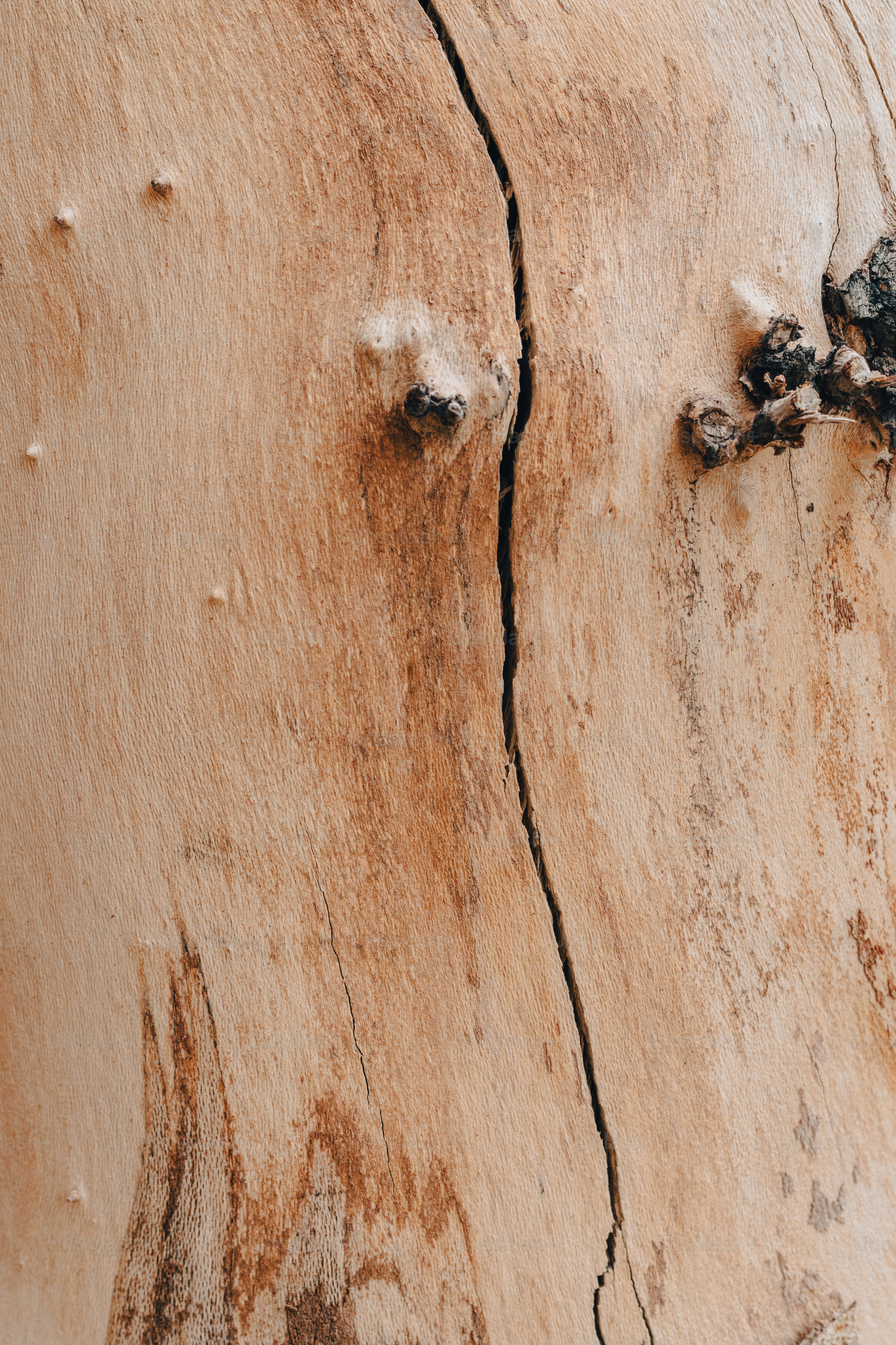 Nahaufnahme eines Holzstücks mit Rissen