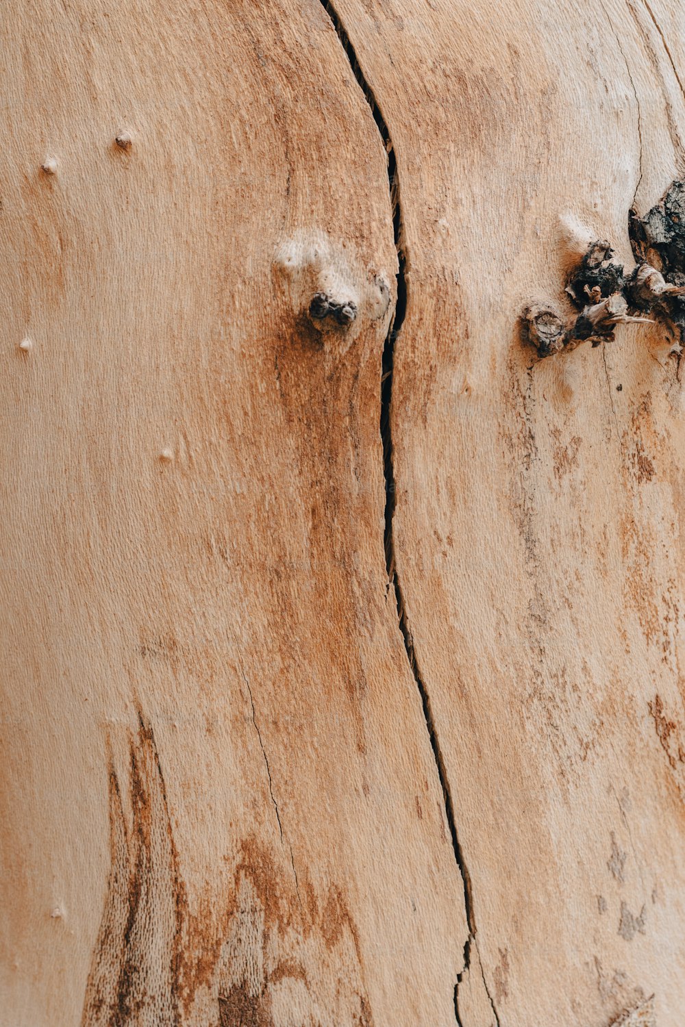 a close up of a piece of wood with cracks