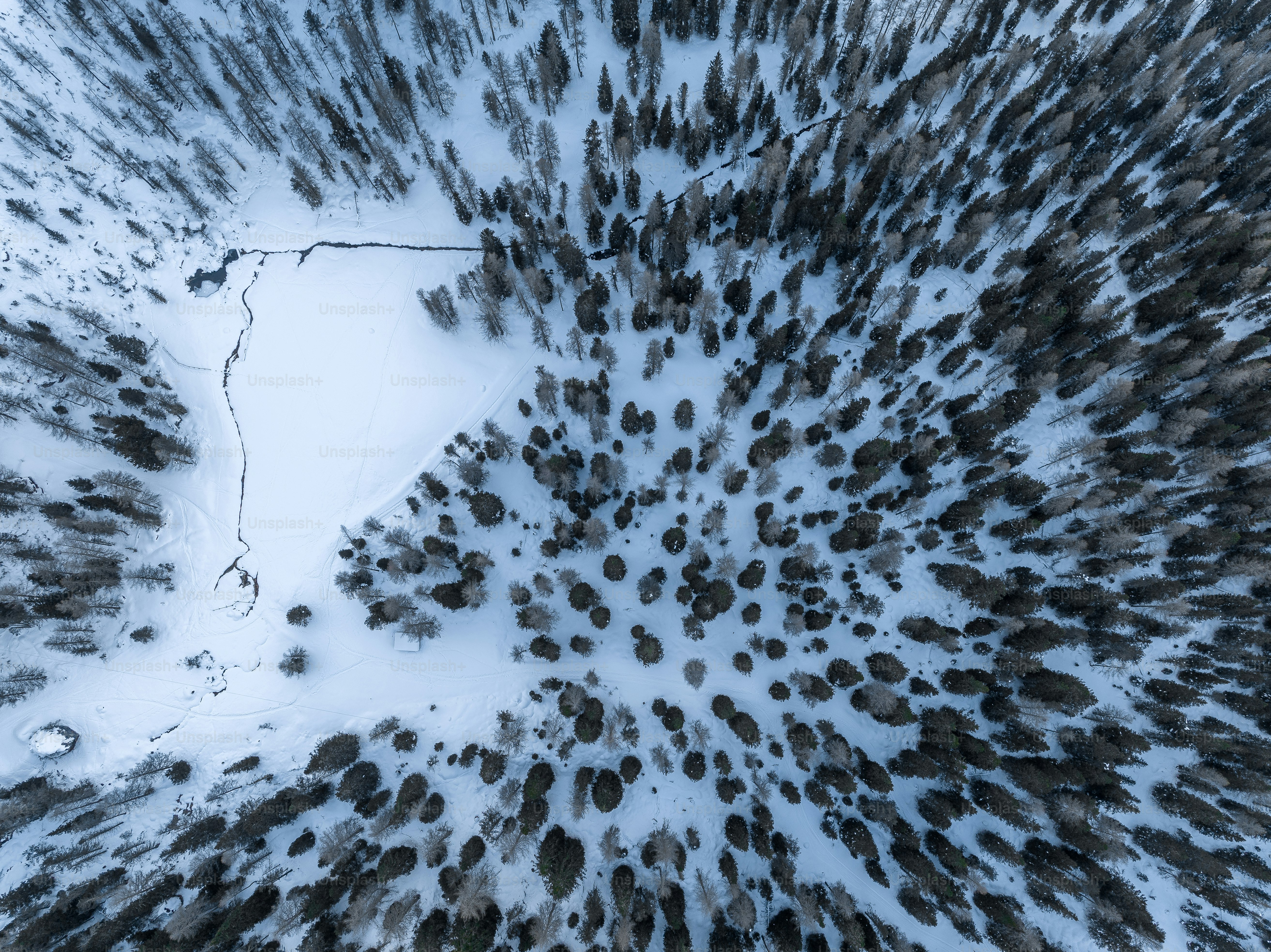 An aerial view of a snow covered forest photo – Wallpaper Image on Unsplash