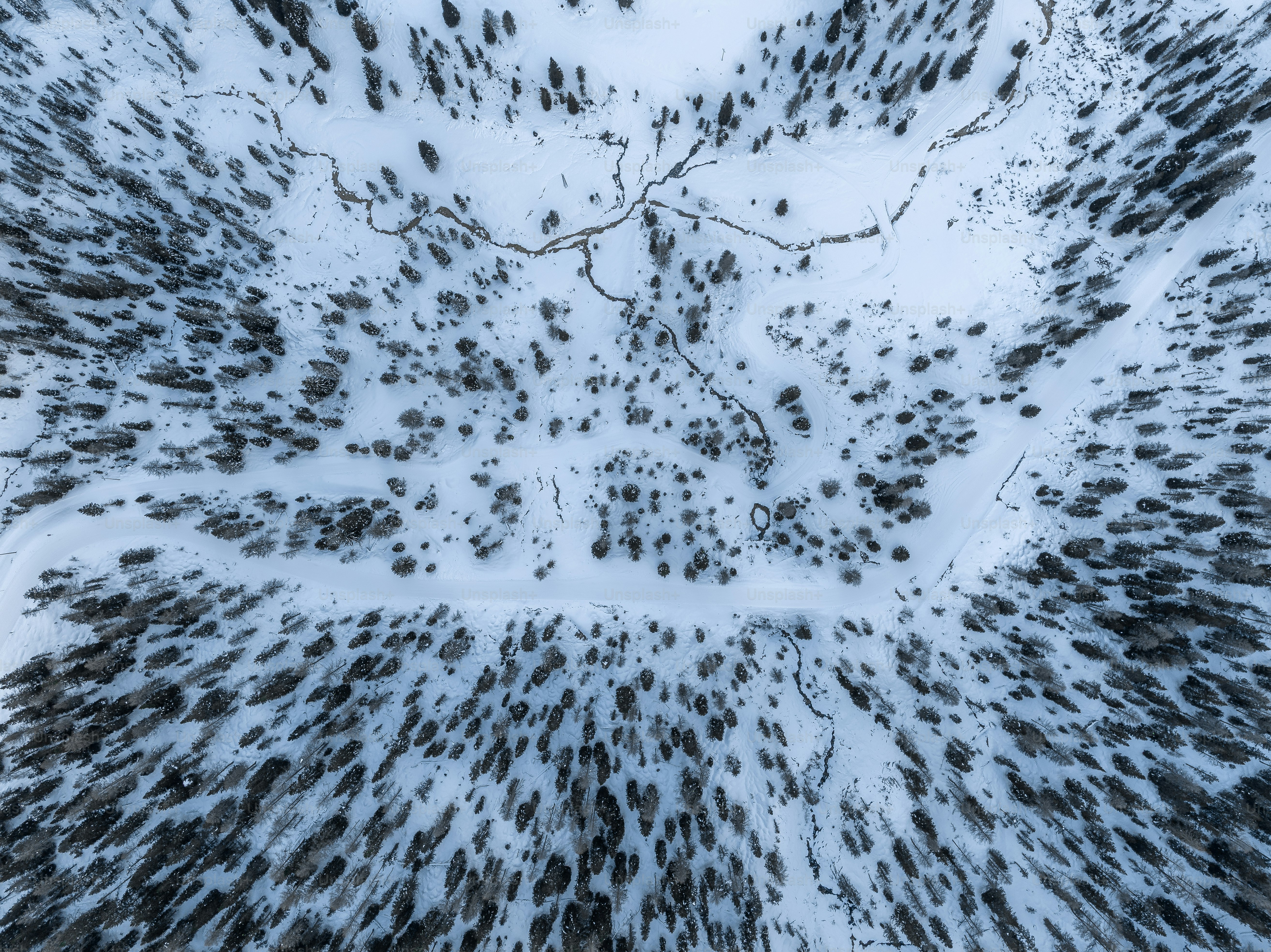 An aerial view of a snow covered forest photo – Wallpaper Image on Unsplash
