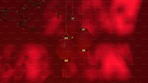 Trois lanternes rouges suspendues à une branche d’arbre