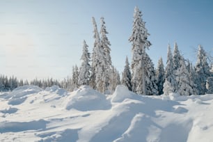 a person riding skis on a snowy surface