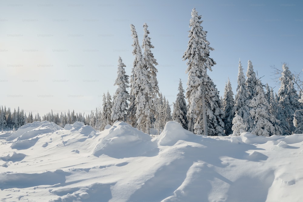 eine Person, die auf einer verschneiten Oberfläche Ski fährt