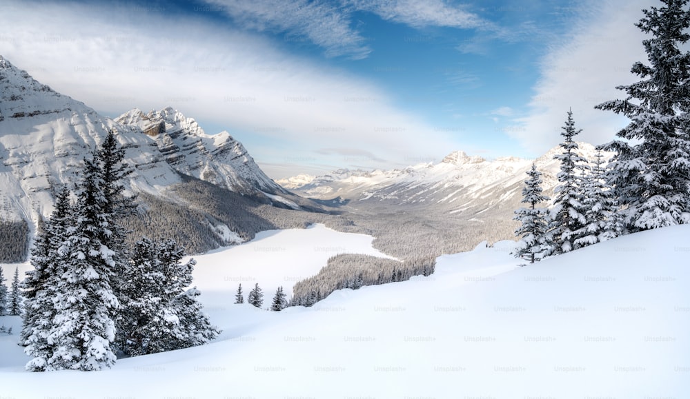 ein schneebedeckter Berg mit Bäumen im Vordergrund