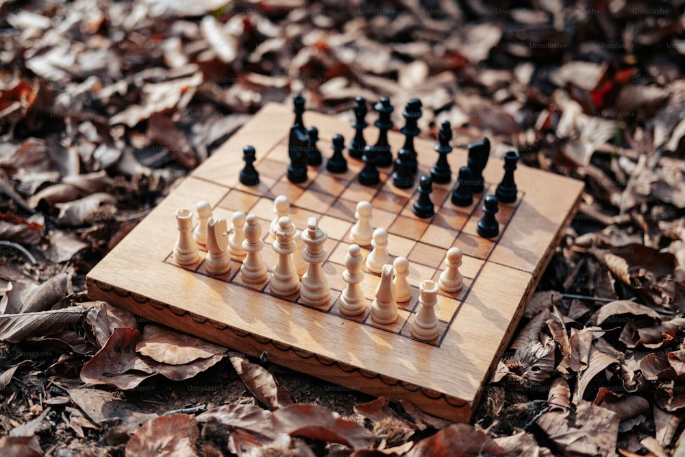 um xadrez de madeira colocado em um chão coberto de folhas