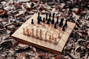 a wooden chess set on a leaf covered ground