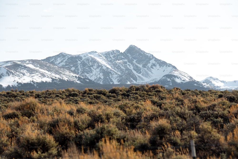 a mountain range covered in snow in the distance