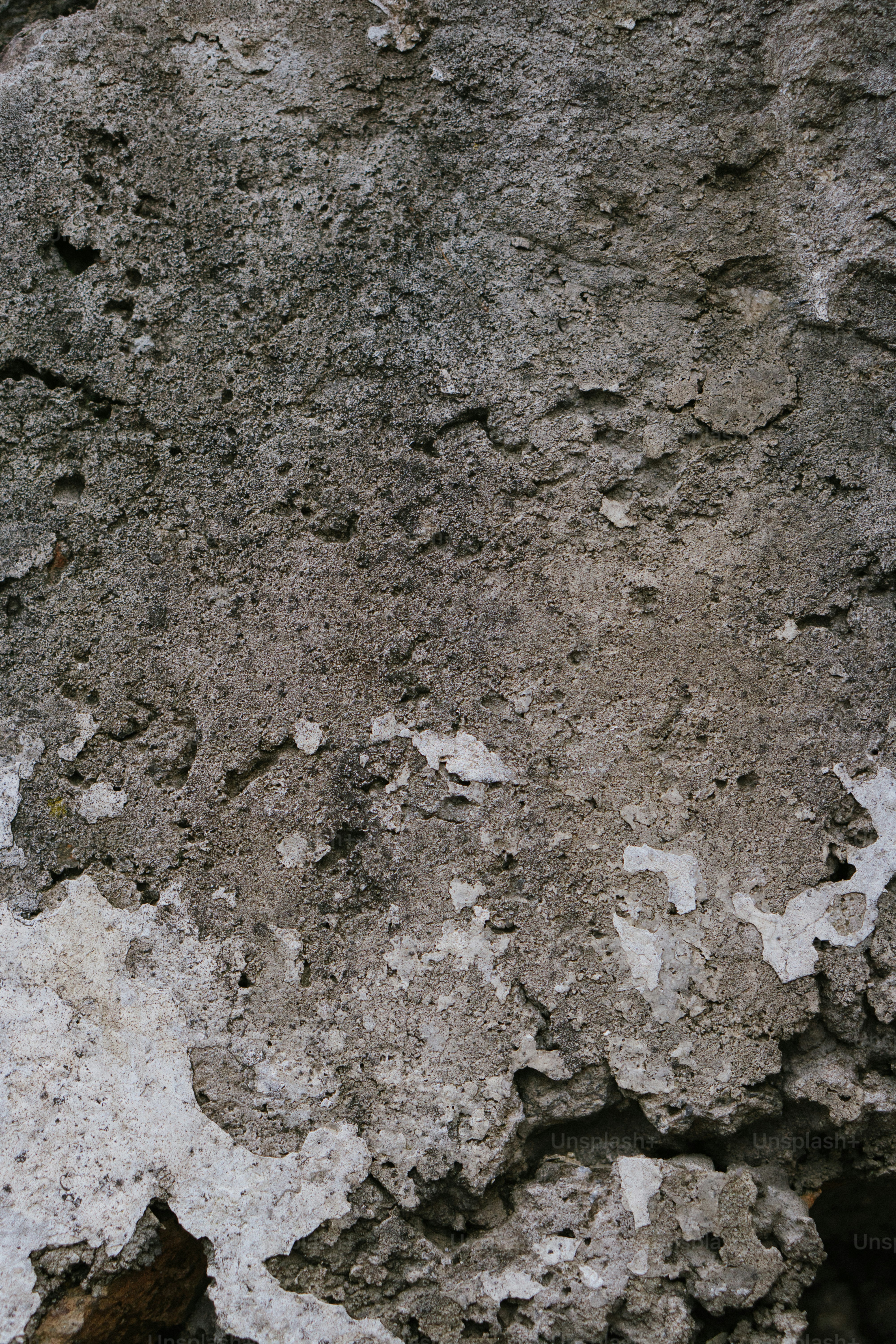 HashJ Unlocks Easy Cloud Mining with a Free $18 Bonus and Global Crypto Earning Potential