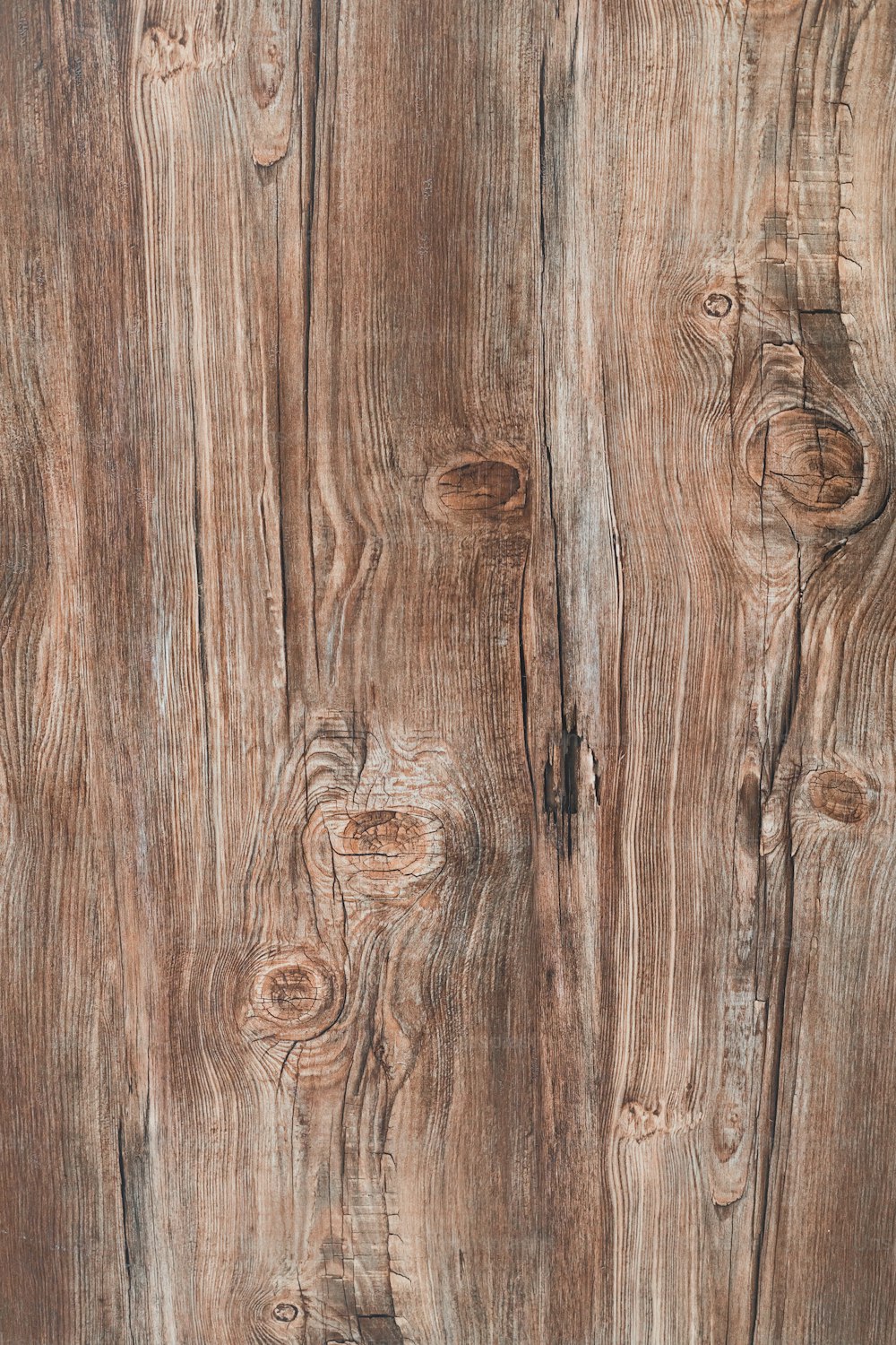 a close up of a wooden surface with knots