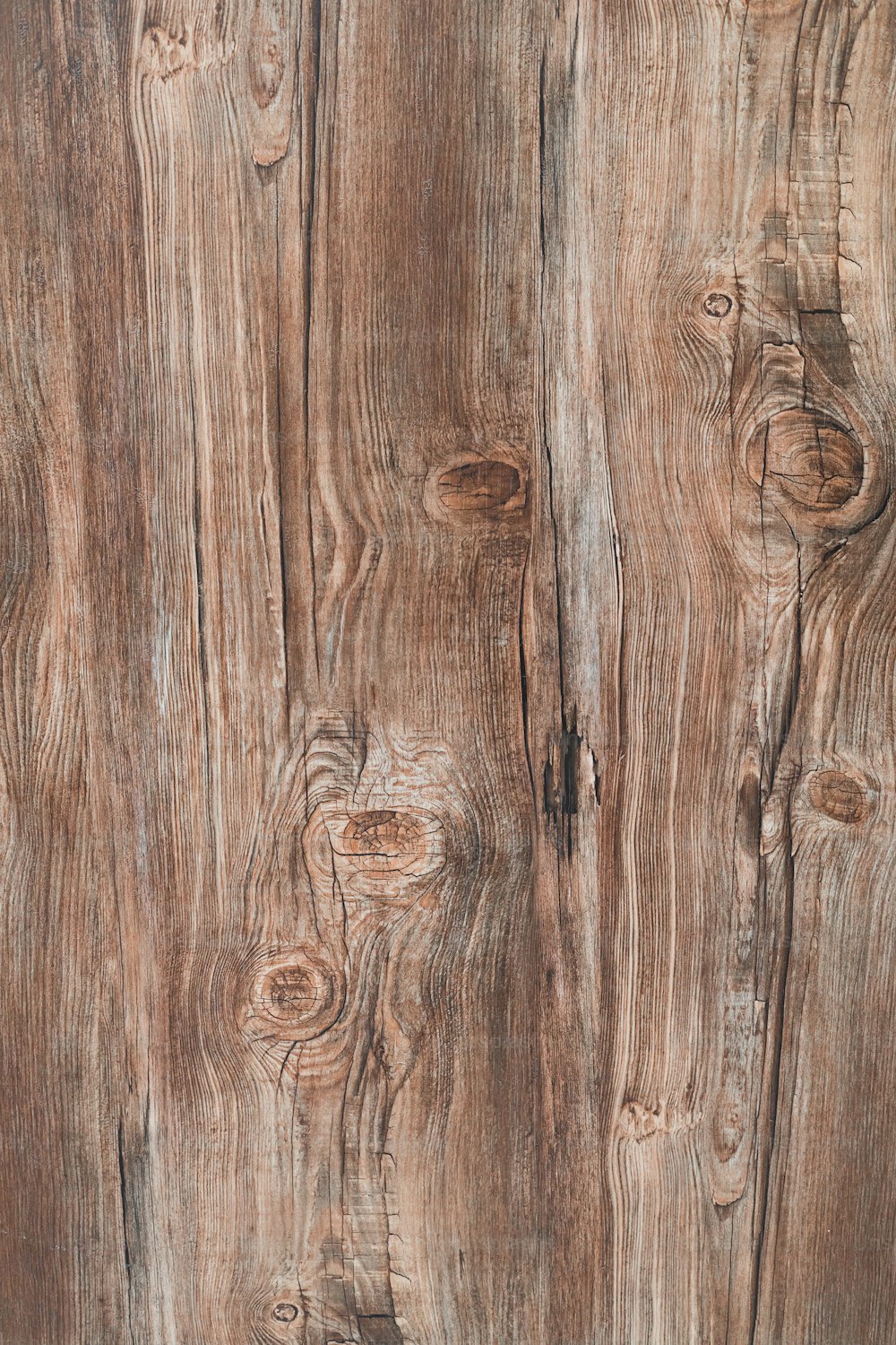 un gros plan d’une surface en bois avec des nœuds