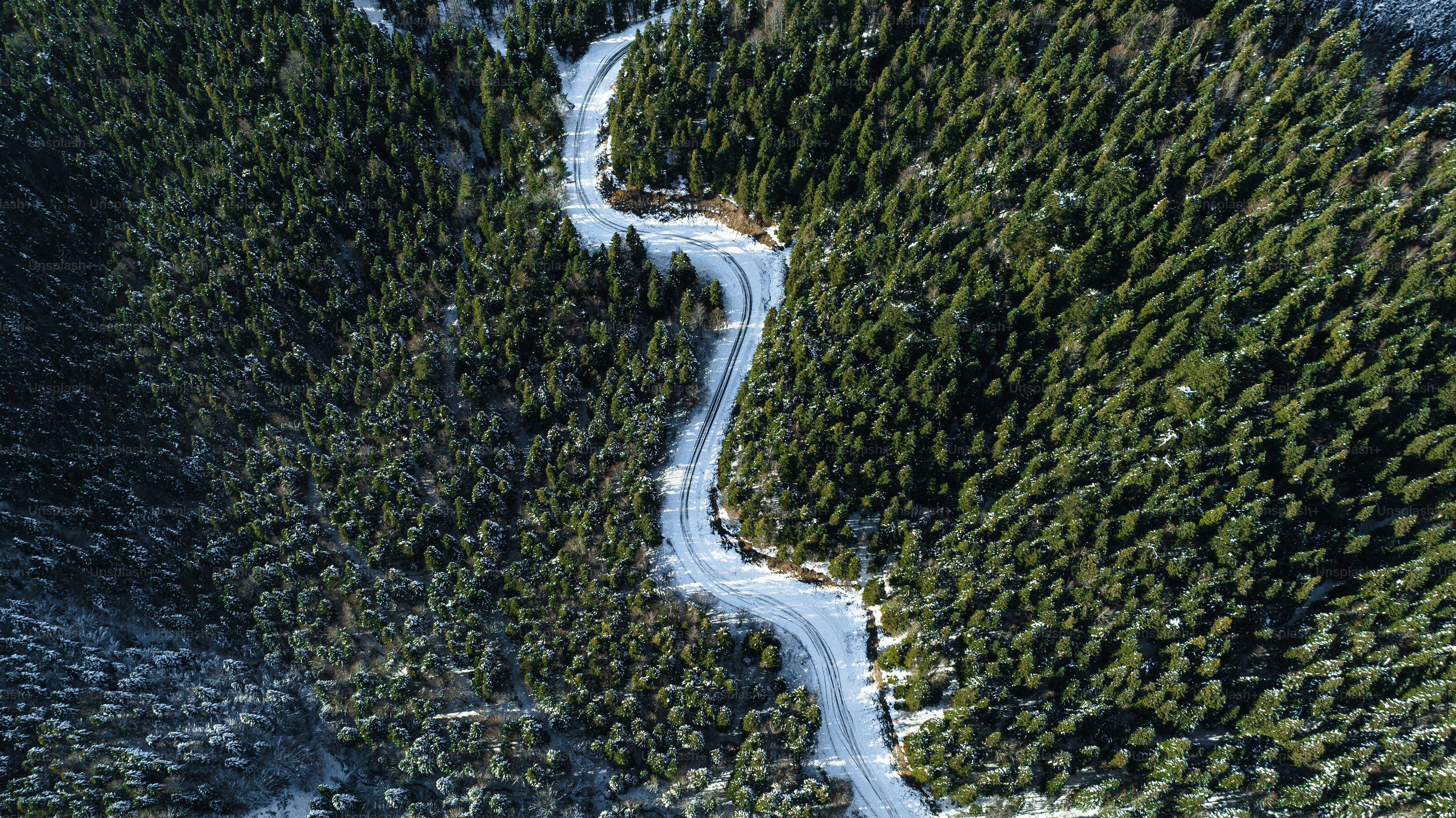 a winding road in the middle of a forest