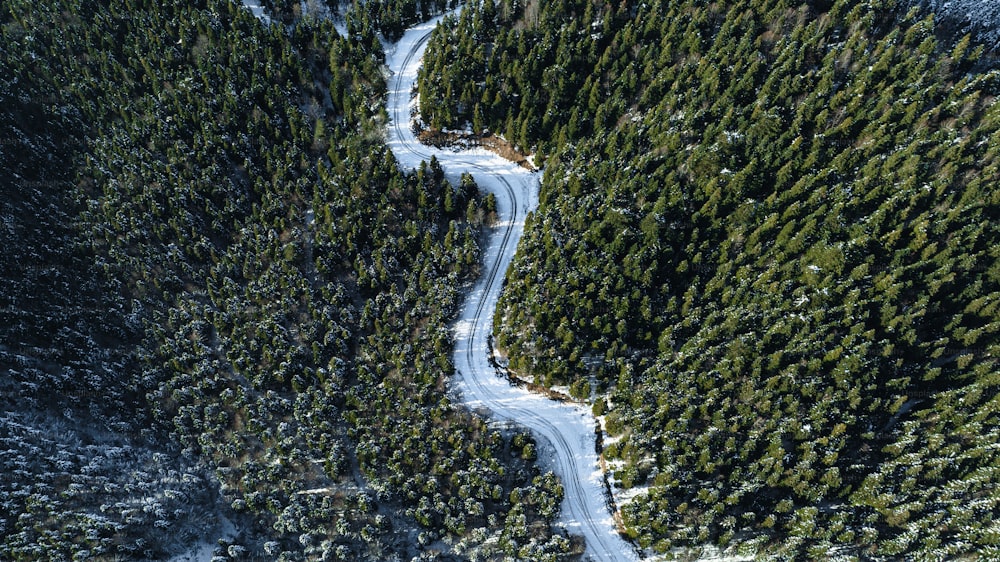 a winding road in the middle of a forest