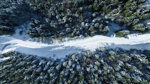 an aerial view of a snow covered forest