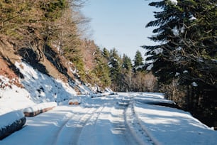 a snow covered road with trees on both sides