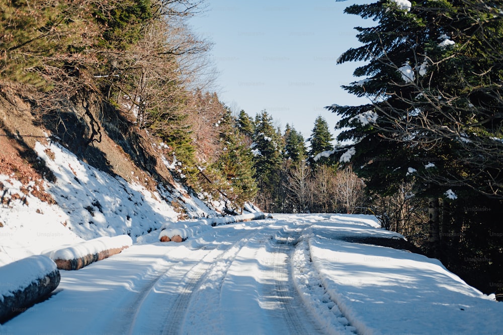 a snow covered road with trees on both sides