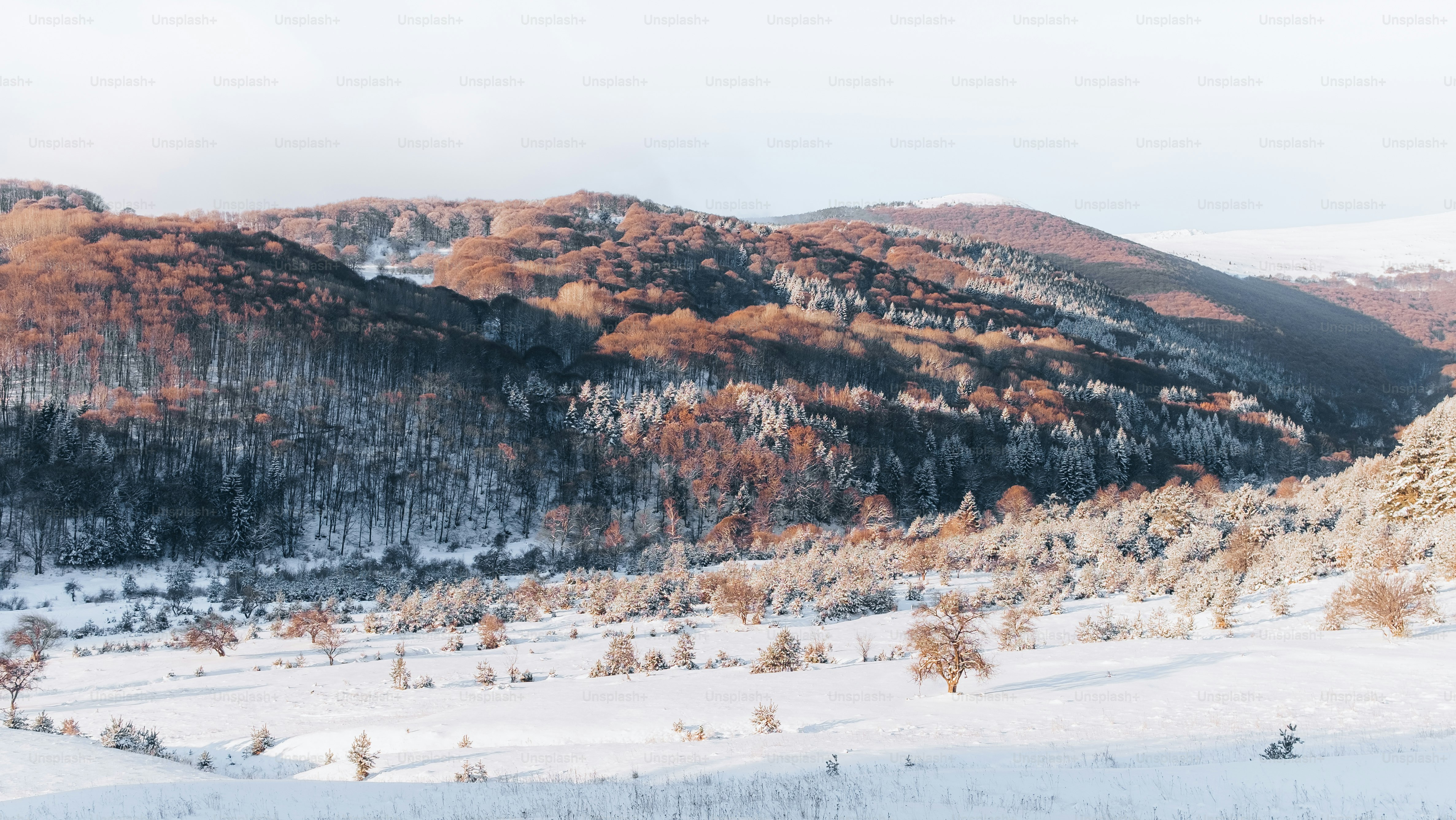 Un paesaggio innevato con alberi e montagne sullo sfondo