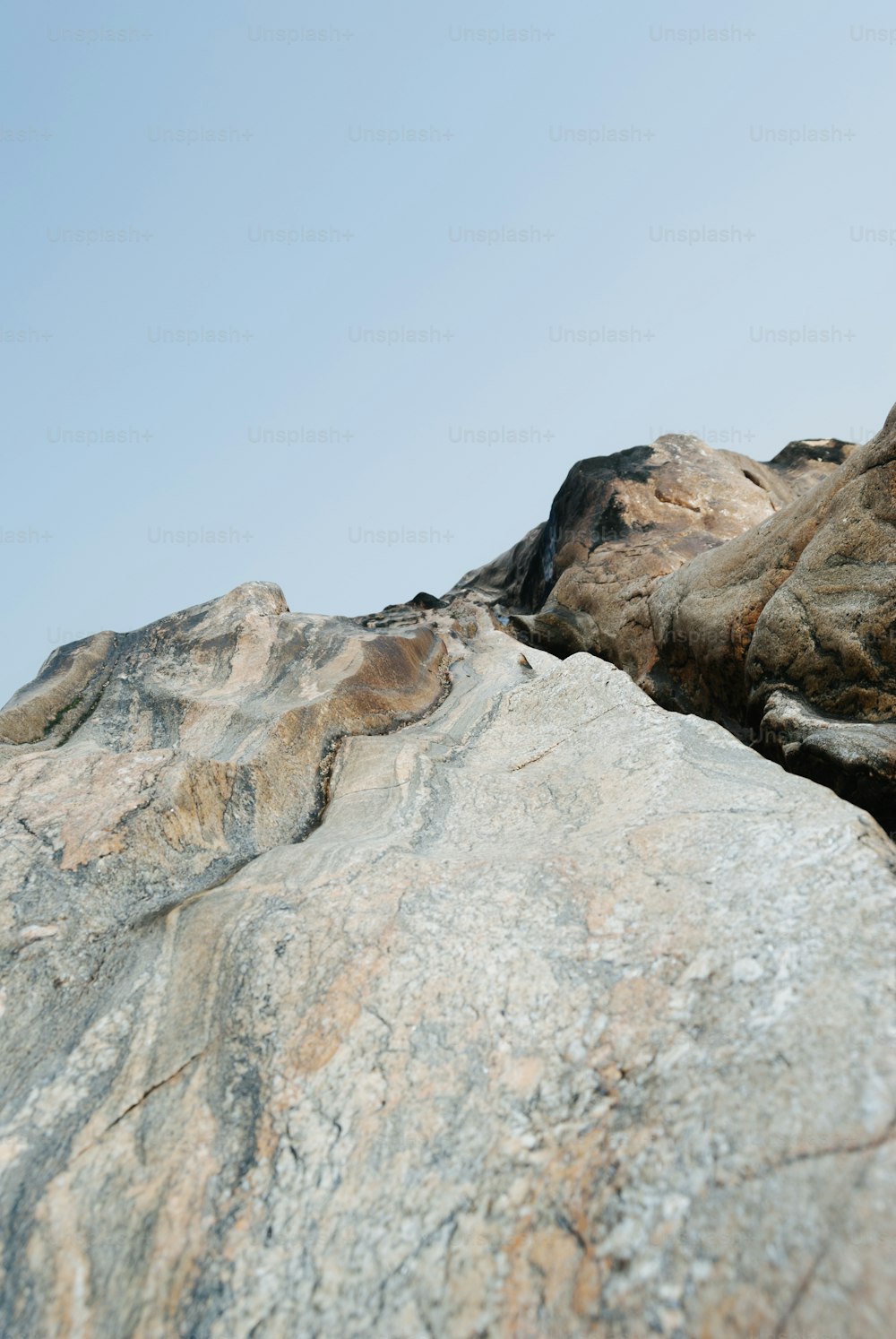 a bird sitting on top of a large rock