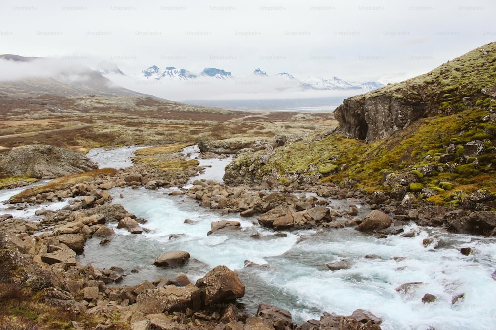 a river running through a lush green valley