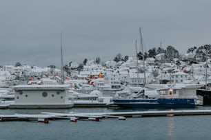 雪に覆われたたくさんのボートでいっぱいの港
