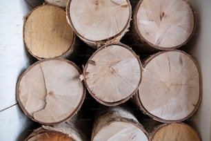 un mucchio di tronchi di legno accatastati uno sopra l'altro