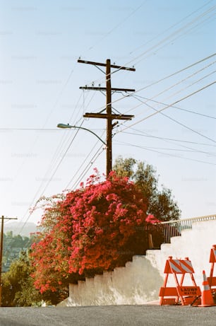 a couple of red chairs sitting under power lines